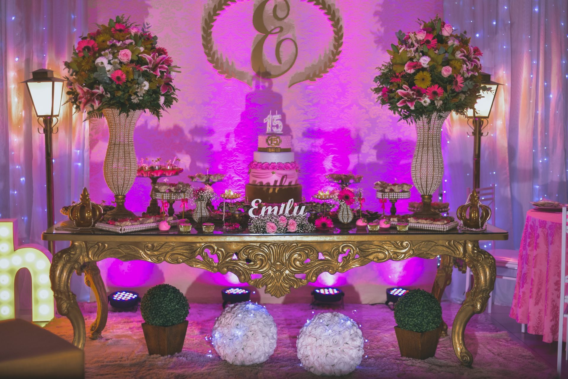 Foto 15 anos Emily - Imagem 39