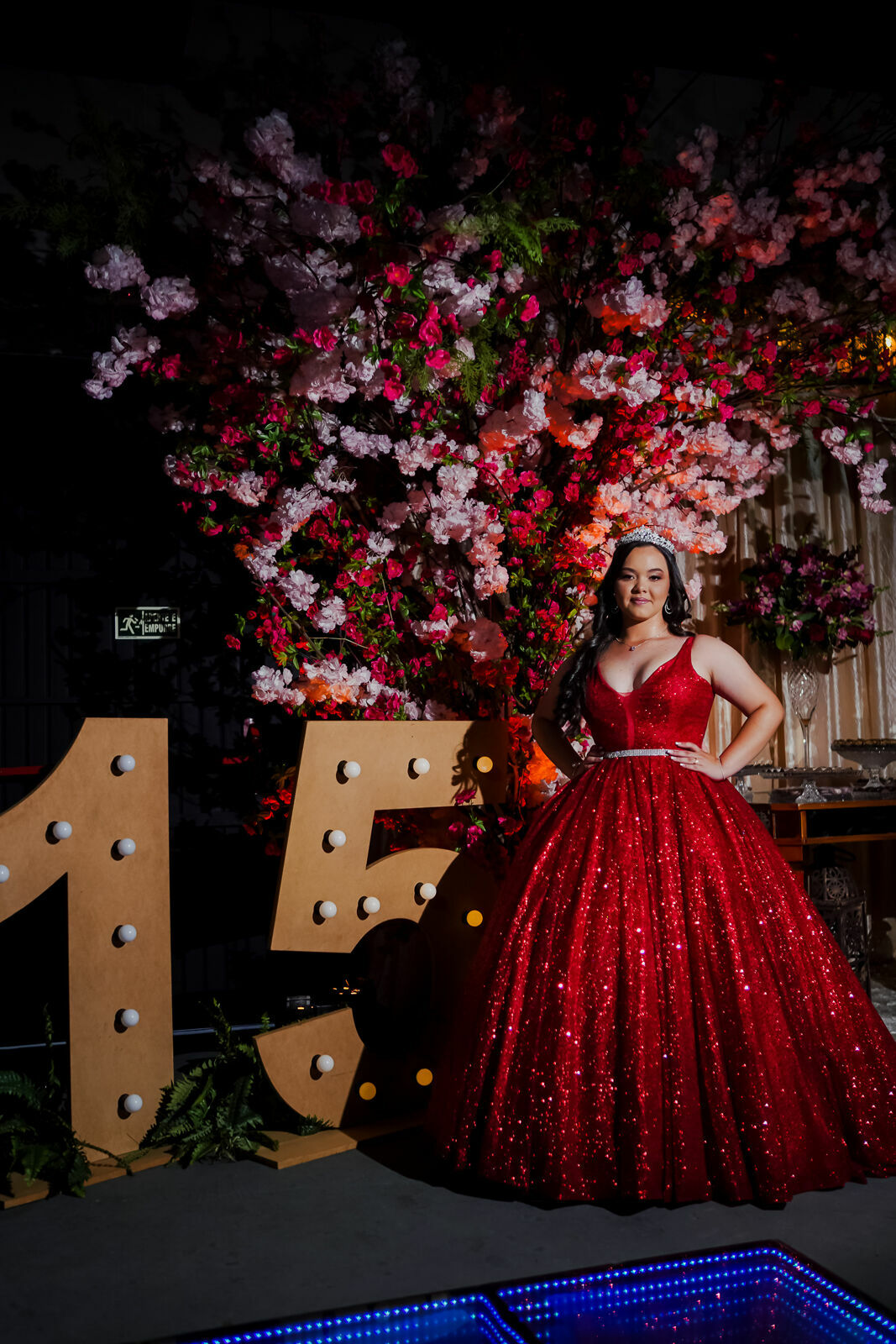 Foto 15 ANOS THAUANY | ANTA GORDA - RS  - Imagem 6