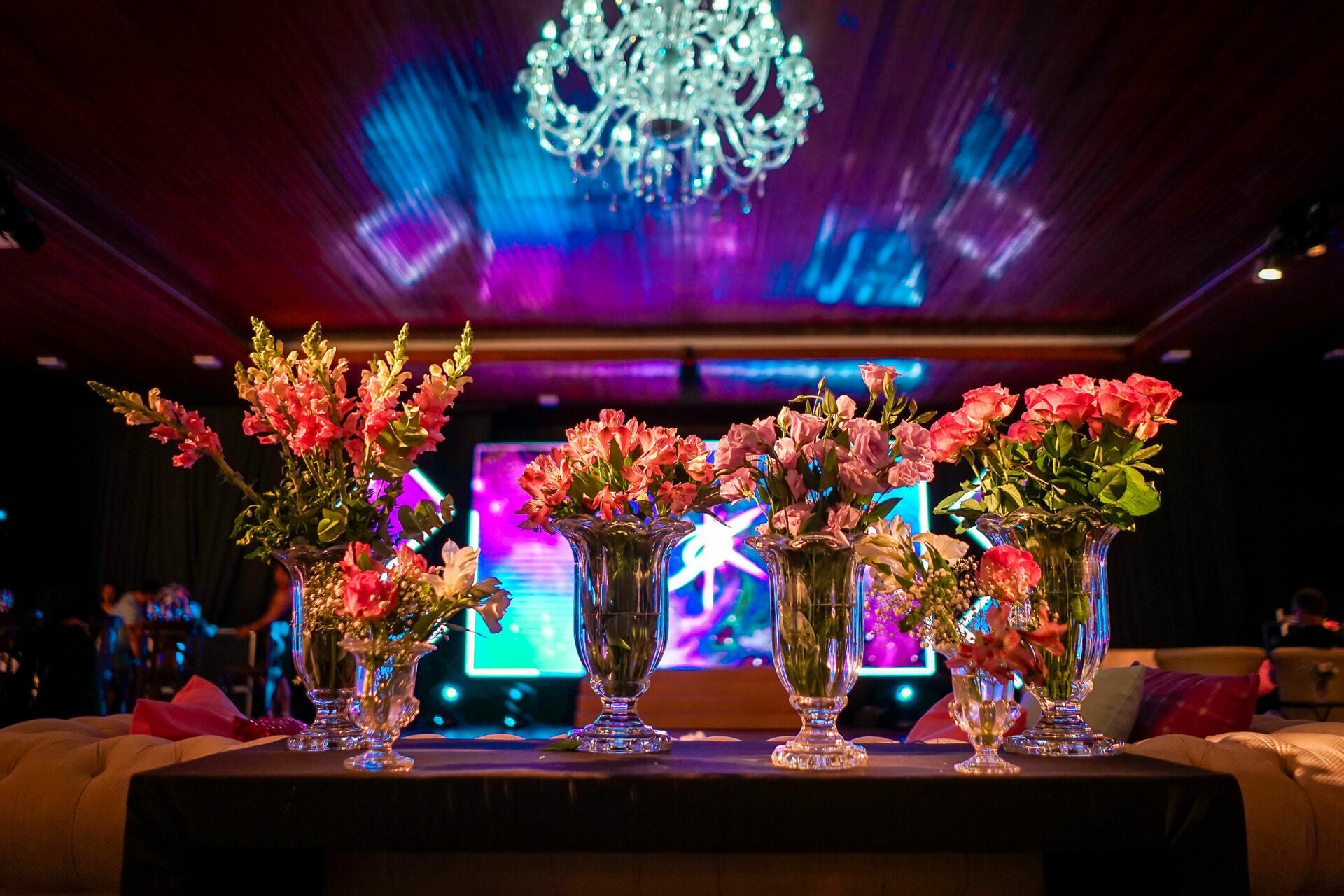 Foto 15 ANOS DA BELLA | ANTA GORDA - RS - Imagem 5