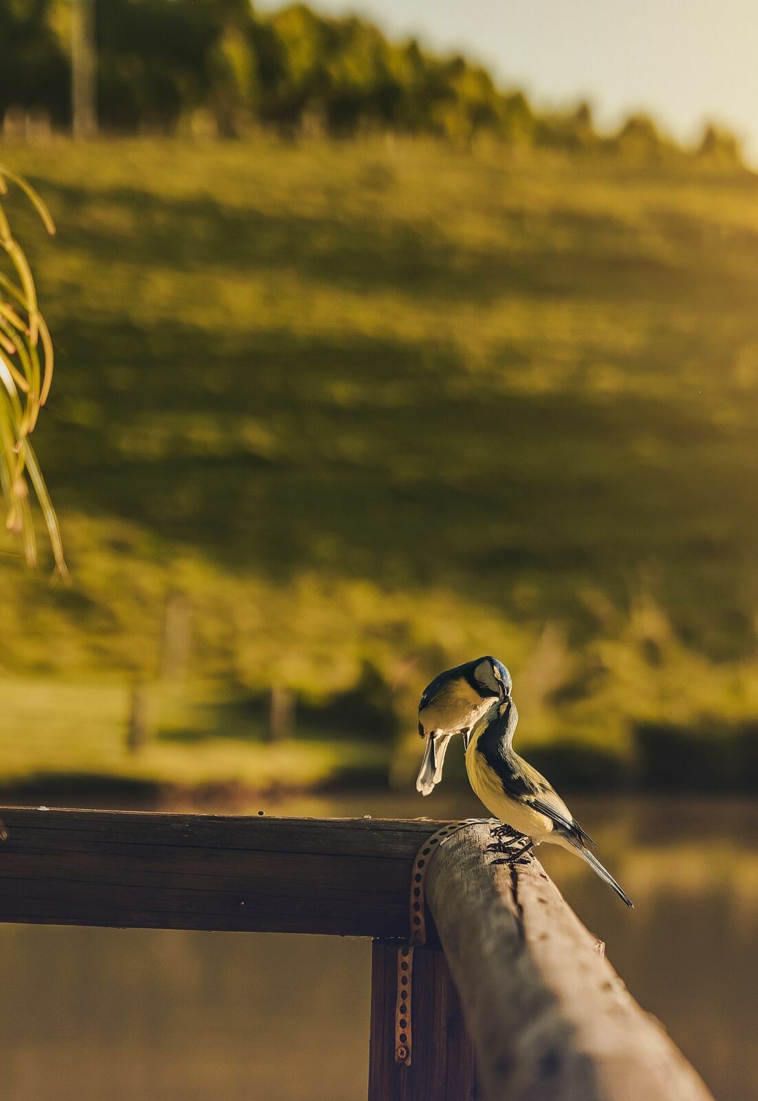 Foto Casamento Bruna & Diego | Realizado na cidade de Portão | Fest Haus - Imagem 44