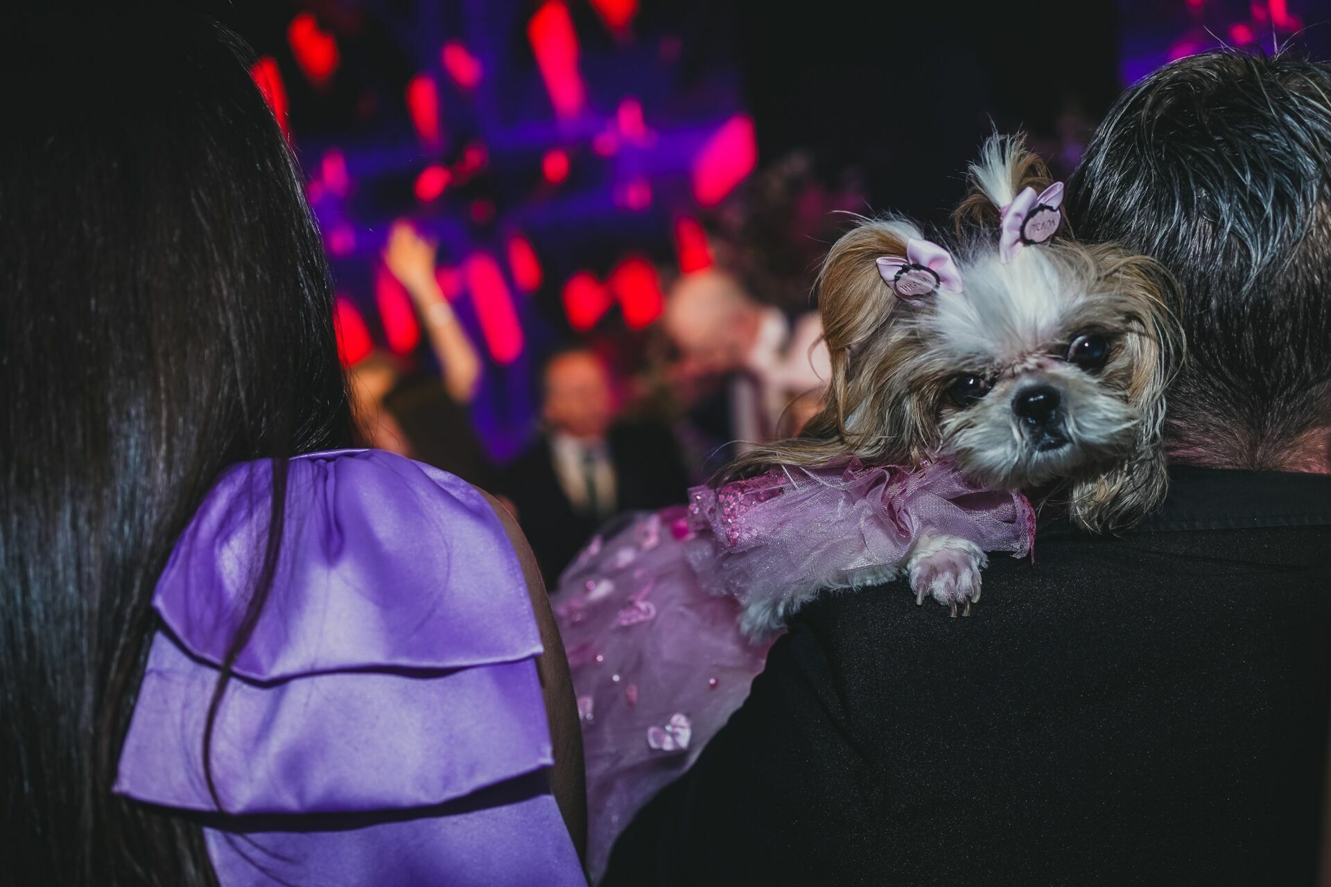 Foto 15 anos Laura  | Gravataí | Casa Coliseu - Imagem 98