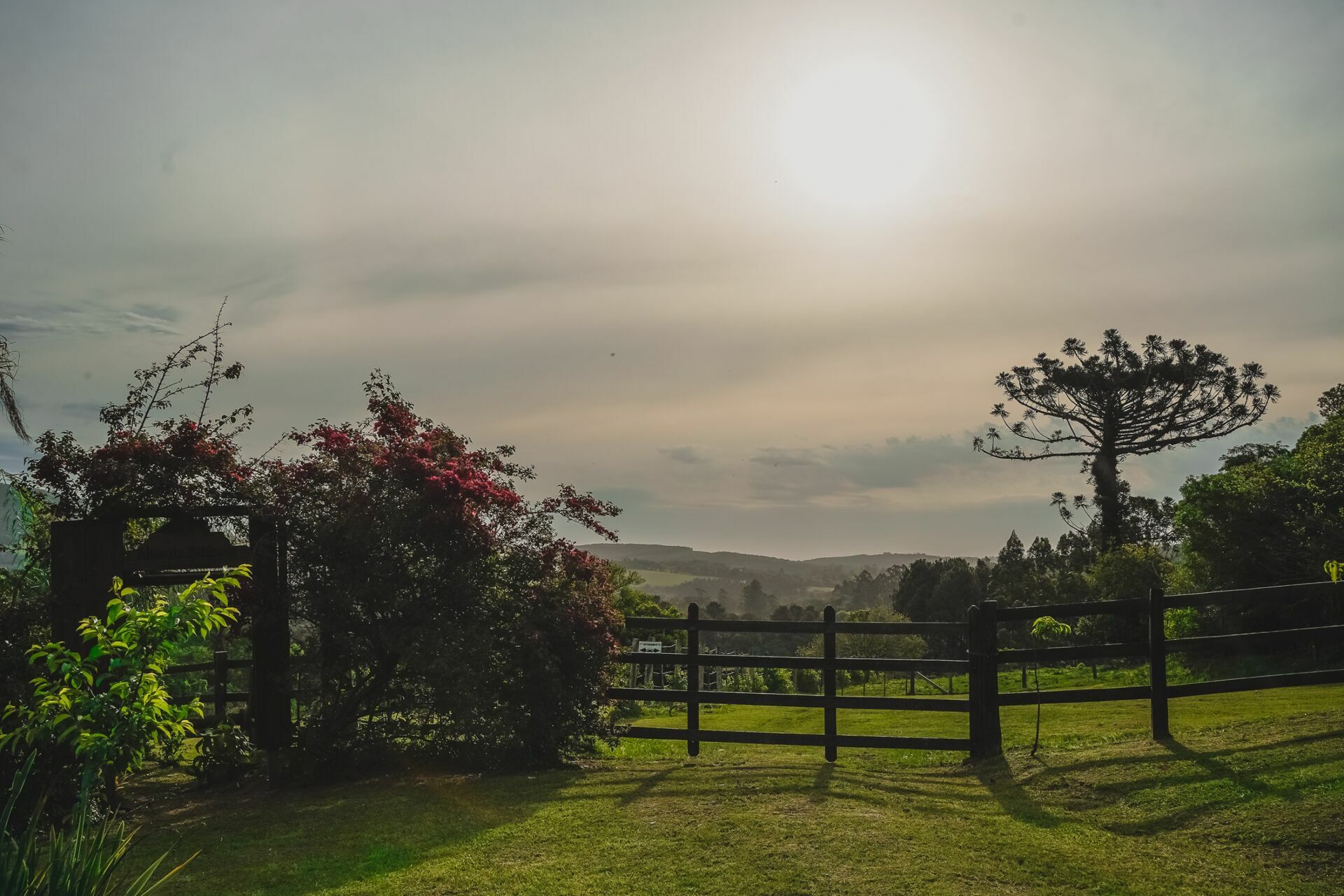 Foto Casamento Simone  & Diego | Realizado na cidade de São leopoldo | Altos da Estância  - Imagem 13